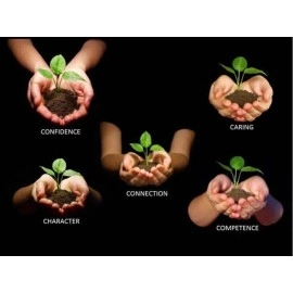 Garden Art Organic Vermicompost Fertilizer/Earthworm Manure for Plants 5 Kg for All Kind of Home and Gardening Plants with Macro and Micro Nutrient(5kg)