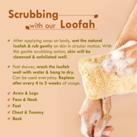 Nat Habit - Back To Natural Secrets Everyday ural Sun Dried Bath Loofah | Body Sponge & Scrubber for Men & Women | Organic Luffa for Bath Shower Skin Exfoliation (Pack of 3)