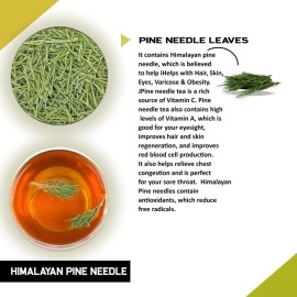 TEACURRY Himalayan Pine Needle Tea (1 Month Pack | 30 Tea Bags) - Helps with Hair, Skin, Eyes, Varicose & Obesity