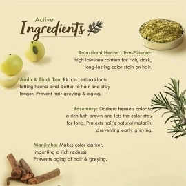 Nat Habit - Fresh Ready To Apply Henna Paste, Pre-Soaked in Black Tea and Herbs,100% Natural Rajasthani Henna, Imparts Rich Brown Shade (Pack of 3 x 220g)