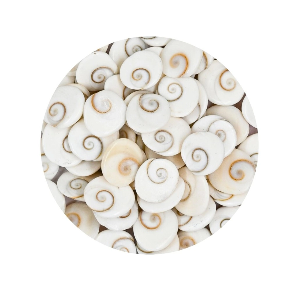 Crystal Heaven Gomati Chakra Original River Stones - 11 Pieces Gomti Chakra Original from Gomathi River Dwarka (11 Pieces)