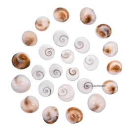 Crystal Heaven Gomati Chakra Original River Stones - 11 Pieces Gomti Chakra Original from Gomathi River Dwarka (11 Pieces)