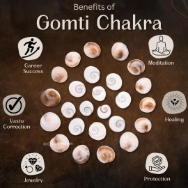 Crystal Heaven Gomati Chakra Original River Stones - 11 Pieces Gomti Chakra Original from Gomathi River Dwarka (11 Pieces)