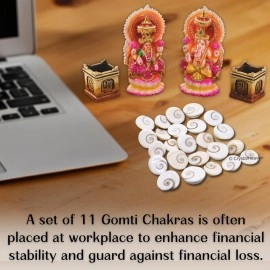 Crystal Heaven Gomati Chakra Original River Stones - 11 Pieces Gomti Chakra Original from Gomathi River Dwarka (11 Pieces)