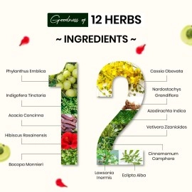 Vcare Herbal Hair Wash and Conditioner Shikakai Powder For Skin and Hair with Hibiscus, Marudhani, Karisalanganni, Fenugreek, Lemon, Amla, Keelanelli, Admadhimadhuram 100g (Pack of 3)