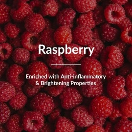 Lotus Botanicals Hyaluronic Acid & Raspberry Ultra Glow & Hydration Boosting Serum | All Skin type|Paraben & Sulphate Free| 14ml