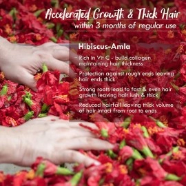 Nat Habit - Back To Natural Secrets Everyday Dual Tooth Wooden Kacchi Neem Comb & Hibiscus Dasabuti Hair Oil For Dry And Frizzy Hair, With Castor, Coconut & Amla (Combo Pack Of 2)