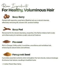 Sacred Grove No Lather Gentle Hair Cleanser, with Reetha, Shikakai & Flaxseed, Sulphate & Paraben Free for Hair Fall Control, Organic Shampoo, 100% Natural Shampoo for Men, Women & Kids, 250 ml