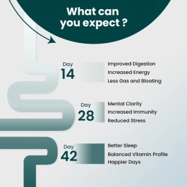 Supply6 360 Ultimate Health Powder for Women and Men | Comprehensive Daily Supplement with 63+ Vitamins, Minerals, Probiotics, and Superfoods | Supports Gut Health, Energy, Immunity