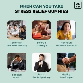 What\'s Up Wellness Stress Relief Gummies | For Men & Women with Chamomile, Passion Flower, L-theanine, Sage & Holy Basil, Reduces Stress, Anxiety and Improves Sleep - 30 Gummy Pack