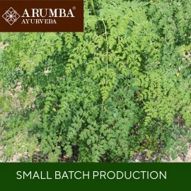 Arumba Moringa Leaf Powder 500 grams, Made with Moringa Oleifera Leaves, Shigru Powder for Lactation Support, Hair and Skin