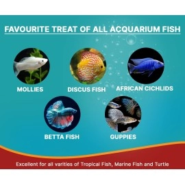 BOLTZ Fish Treat Combo Freeze Dried Blood Worms (25Gm) And Tubifex Worms(50Gm) Fish Food For Bettas, Tetras, Arowana, Flowerhorn, Oscar Fish - All Life Stages