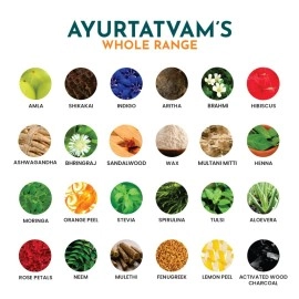 Ayurtatvam Indigo Powder (100G)