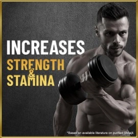 Sesa Himalyan Shilajit Resin I 100% Ayurvedic | helps boosting Strength & endurance I helps Boost Immunity 20g