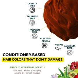 Paradyes Ammonia Free, Cruelty Free, Vegan, DIY application, Semi-permanent Hair Color jar only 120gm (Chocolate Brown)