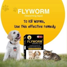 Tail & Collar Club Chicken Flavour Natural Deworming Syrup for Dogs Puppy Cats & Kittens with Probiotic Dewormer Formula for Killing and Expelling Parasites Flyworm Syrup - Pack of 2 (30ml Each)