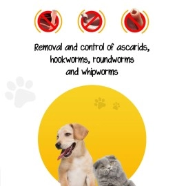 Tail & Collar Club Chicken Flavour Natural Deworming Syrup for Dogs Puppy Cats & Kittens with Probiotic Dewormer Formula for Killing and Expelling Parasites Flyworm Syrup - Pack of 2 (30ml Each)