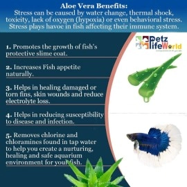 VAYINATO Aquatic Remedies Stori Betta Well Sure | Aloe Vera Infused All in One Complete Solution for Betta Fish Health Related Issue Like FinRot, External Wounds and Dropsy (30ML* Pack of 2) - 60ML