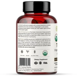 Rooted Active\'s Turkey Tail mushroom Extract Capsules (90 Veg Caps, 500 mg), USDA & EU Certified Organic| 30% Beta Glucans - Lab verified | Heart health, Stress Relief, Liver support