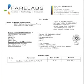 Rooted Active\'s Turkey Tail mushroom Extract Capsules (90 Veg Caps, 500 mg), USDA & EU Certified Organic| 30% Beta Glucans - Lab verified | Heart health, Stress Relief, Liver support