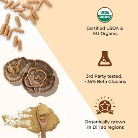 Rooted Active\'s Turkey Tail mushroom Extract Capsules (90 Veg Caps, 500 mg), USDA & EU Certified Organic| 30% Beta Glucans - Lab verified | Heart health, Stress Relief, Liver support