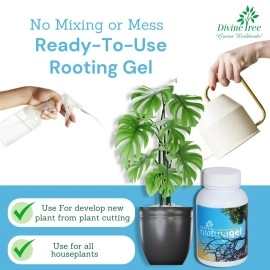 DIVINE TREE Rooting Gel for Plants Cuttings and Root Hormone Stimulator for Stronger Roots | Fast Root Starter | Rapid Rooting Gel Best for Hardwood, Semi-hardwood and Softwood Plant Cutting (100 ml)