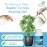 DIVINE TREE Rooting Gel for Plants Cuttings and Root Hormone Stimulator for Stronger Roots | Fast Root Starter | Rapid Rooting Gel Best for Hardwood, Semi-hardwood and Softwood Plant Cutting (100 ml)