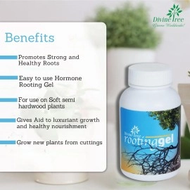 DIVINE TREE Rooting Gel for Plants Cuttings and Root Hormone Stimulator for Stronger Roots | Fast Root Starter | Rapid Rooting Gel Best for Hardwood, Semi-hardwood and Softwood Plant Cutting (100 ml)