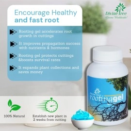 DIVINE TREE Rooting Gel for Plants Cuttings and Root Hormone Stimulator for Stronger Roots | Fast Root Starter | Rapid Rooting Gel Best for Hardwood, Semi-hardwood and Softwood Plant Cutting (100 ml)