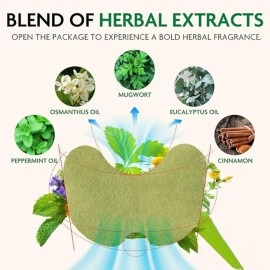 SLIDO Herbal Knee Pain Relief Patches | Inflammation Patch Sticker | Instant Relief from Pain | Joint Pain Relief Products with Natural Wormwood Extract Patch (1 PACK- 10 PATCHES)