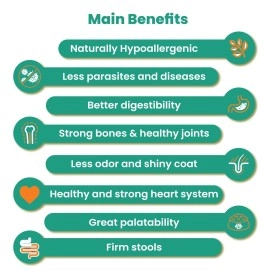 The Green Dog Adult Dog Food 3 kgs 100% Vegan | Veg Adult Dry Dog Food | Naturally Hypoallergenic | Gluten Free | Vegetarian | Healthy Heart| USFDA Approved Food Grade