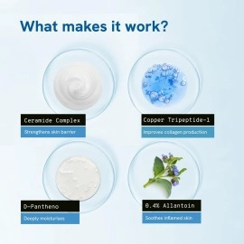 Be Bodywise 1% Peptide & Ceramide Moisturizer (50g) | Retains Moisture Upto 72 Hours | Strengthens Skin Barrier, Soothes Irritation & Redness | Lightweight, Fragrance Free Formula