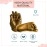 Mold Your Memories Baby Casting Kit for hand and Feet (2 hand & 2 feet cast)