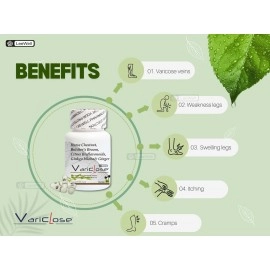 Variclose Varicose Veins, Piles, Hemorrhoids, Varicocele, Vascular Health, Veins Support Herbal formula | Horse Chestnut Extract 400mg, Butcher\'s broom extract 75mg, Gingko biloba, Ginger extract