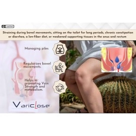 Variclose Varicose Veins, Piles, Hemorrhoids, Varicocele, Vascular Health, Veins Support Herbal formula | Horse Chestnut Extract 400mg, Butcher\'s broom extract 75mg, Gingko biloba, Ginger extract