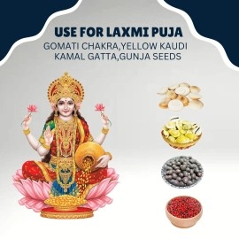 BrijBooti Combo Pack of Gomti Chakra - Pili Kaudi - Kamal Gatta - Gunja Seeds 11 Pieces Each for Lakshmi Pooja, Wealth & Luck