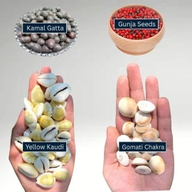 BrijBooti Combo Pack of Gomti Chakra - Pili Kaudi - Kamal Gatta - Gunja Seeds 11 Pieces Each for Lakshmi Pooja, Wealth & Luck