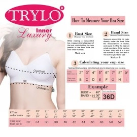 TRYLO RIZA T-FIT-38-NUDE-D-CUP