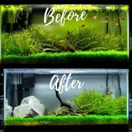 VAYINATO Aquatic Remedies (Pack of 2 * 120ml UCF- Ultra Clear Flocculant) Aquarium Fish Tank Water Clarifier | Quickly Removes Cloudiness | Suitable for Fresh Water