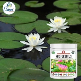 Erwon NPK for Growth and Flowering of Water Lilies and Lotus plants in Water. (200 gm)