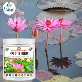 Erwon NPK for Growth and Flowering of Water Lilies and Lotus plants in Water. (200 gm)