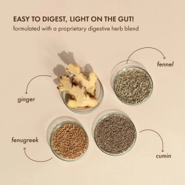 Cosmix No Nonsense Plant Protein - Organic Pea & Rice Isolate | Daily Vegan Protein Powder with Gut Friendly Superfoods | Complete Amino Acid Profile |24g Protein/Sachet |Vanilla Latte (Pack of 6)