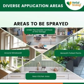 STRATEGI Herbal Ayurvedic Just Out Lizard Repellent 200 ML | 2X Power Aerosol Spray | Certified Ayurveda (Ayush)| Non-Toxic & Eco Friendly| No CFC