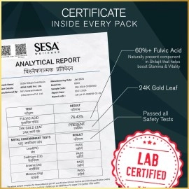 SESA Shilajit Gold Resin 20g With 24k Gold 60%+ Fulvic Acid (Certificate Included) Helps Boost Stamina, Immunity & Muscle Recovery 100% Ayurvedic - 20 g