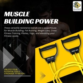 PRO365 Resistance Band 25 Kgs/Toning Tube/Toning Bands/Exercise Bands/Home Gym Bands (6 Month Warranty by PRO365)