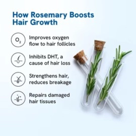 Be Bodywise Rosemary Hair Growth Serum (Roll On)| Promotes Hair Growth, Stimulates Hair Follicles |3% Rosemary, 3% Redensyl, 2% Anagain |Hair Fall Control Women & Men|All Hair Types| 25 ml (Pack of 2)