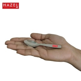 HAZEL Stainless Steel Masala Spoons for Small Containers Mini Spoon for Masala Dabba Spices Spoons, Set of 6