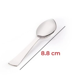 HAZEL Stainless Steel Masala Spoons for Small Containers Mini Spoon for Masala Dabba Spices Spoons, Set of 6