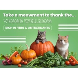 Bark Out Loud by Vivaldis - Adult Dry Cat Food Chicken & Salmon 1 Kg, protein-packed immunity, growth & development booster, contributes to healthy heart, skin, coat and eye.