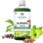 SEARCH WELLNESS Weight Loss Healthy Juice -500 ML (Pack\'s 1) | Aid Metabolism & Digestion For Women & Men | Slim Fit Weight Management Detox Amla Drink | Non GMO & BPA Free | Sugar Free